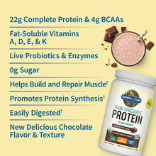 Load image into Gallery viewer, Garden Of Life 生有機植物蛋白巧克力 700G  Raw Organic Protein Powder - Chocolate